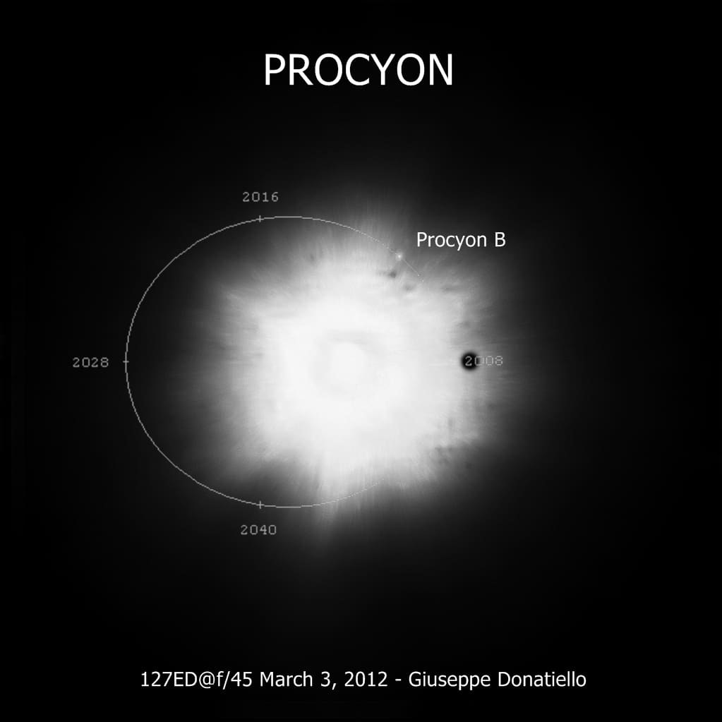 Procyon: A System in Chaos